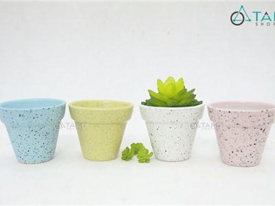 Chậu gốm mini trồng cây để bàn số 61 (trứng cút)